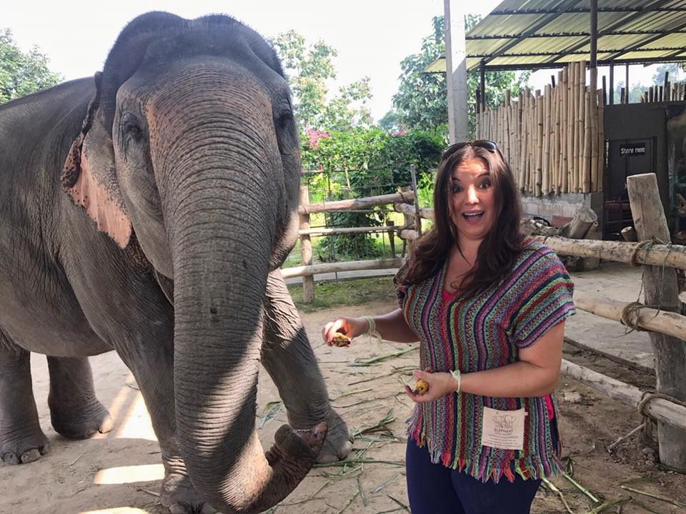 Thailand - Elephant 2